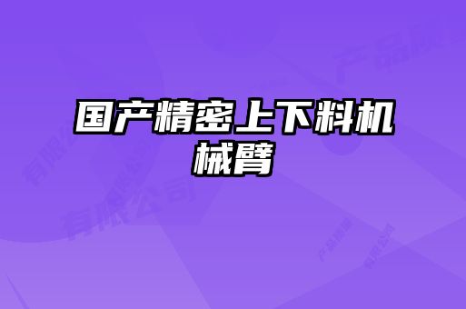 國產(chǎn)精密上下料機械臂